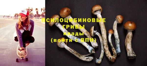 Альфа ПВП Всеволожск
