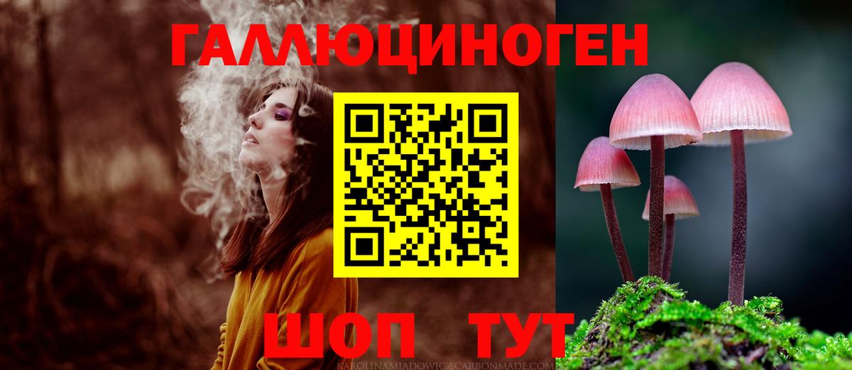 Лабинск  Псилоцибиновые грибы прущие грибы  где можно купить   Псилоцибиновые грибы мицелий  Вход с VPN 